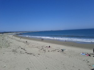 IMG_20110630_144432-1