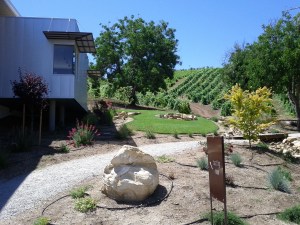 we enjoyed lunch at Kukkula