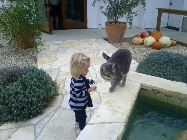 Minassian Young Winery