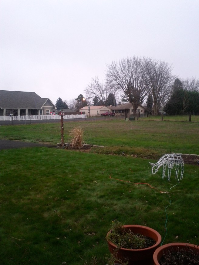 You can't see it, but it's snowing.