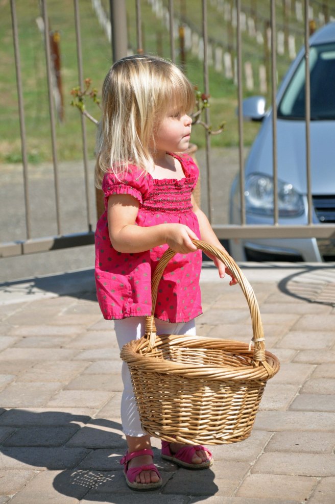 collecting corks at Chuparosa vineyards.