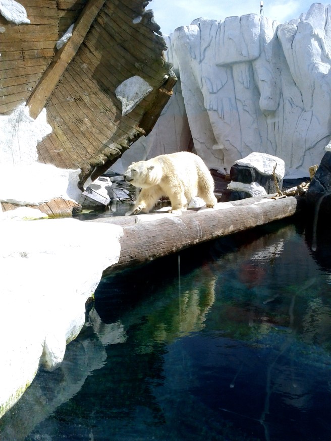 This guy was on the move