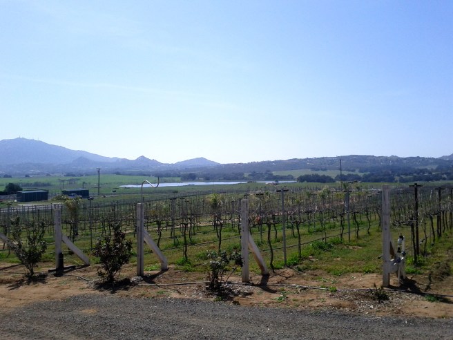 HIghland Hills Winery