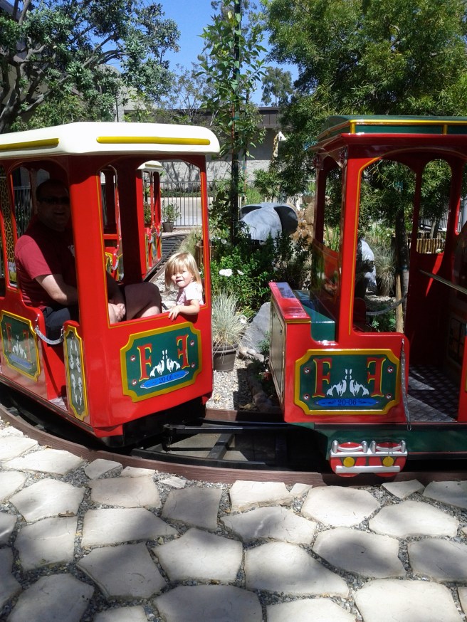 Train ride with daddy
