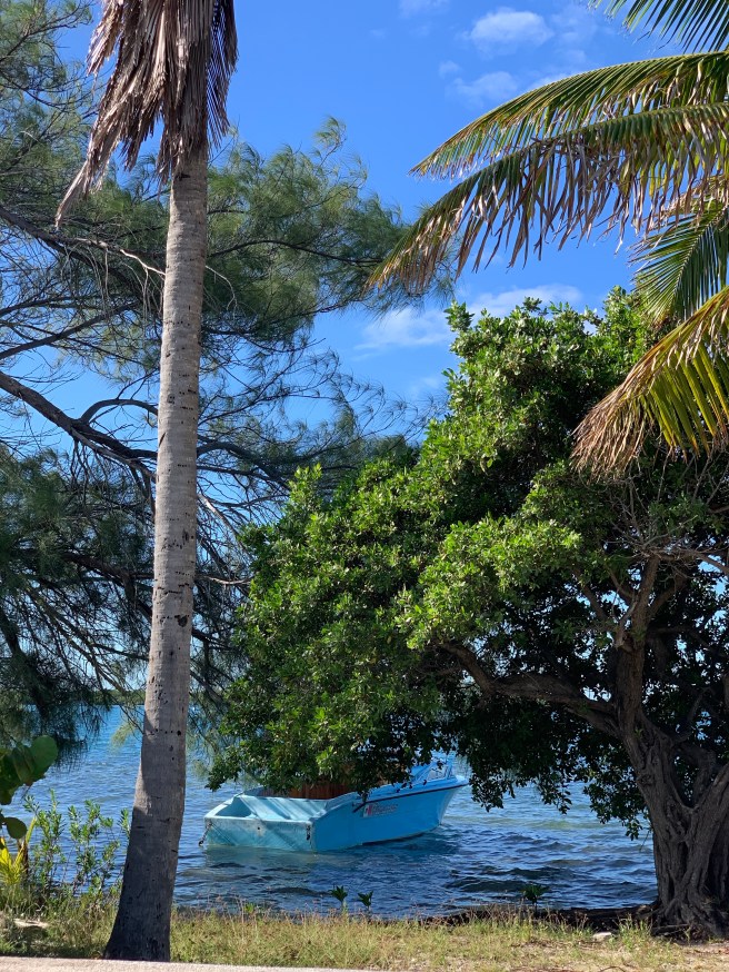 eDatU5roRTezvMYnvZKSYQ