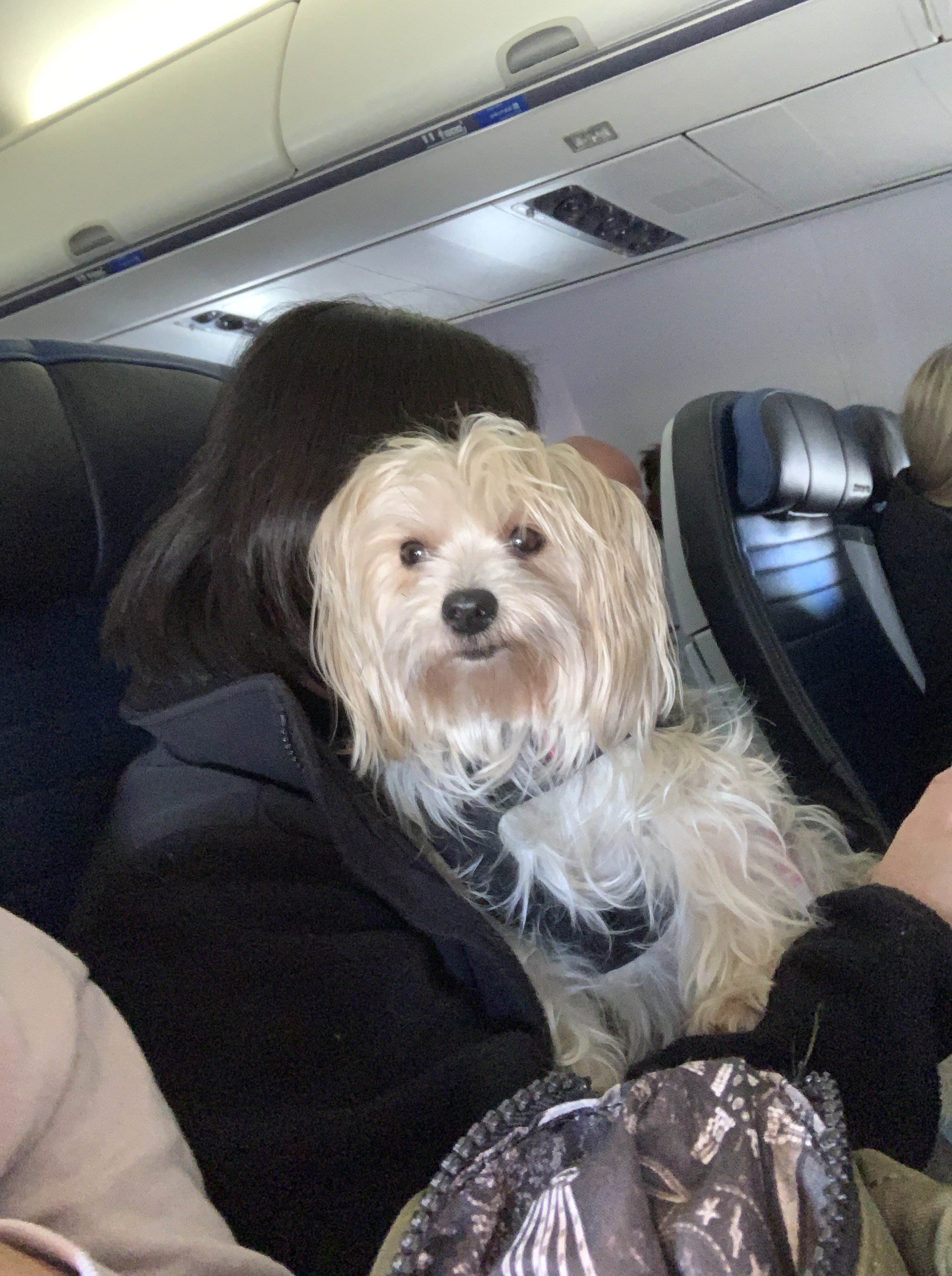 wNquVCHjRBGbU9s0JukuWA