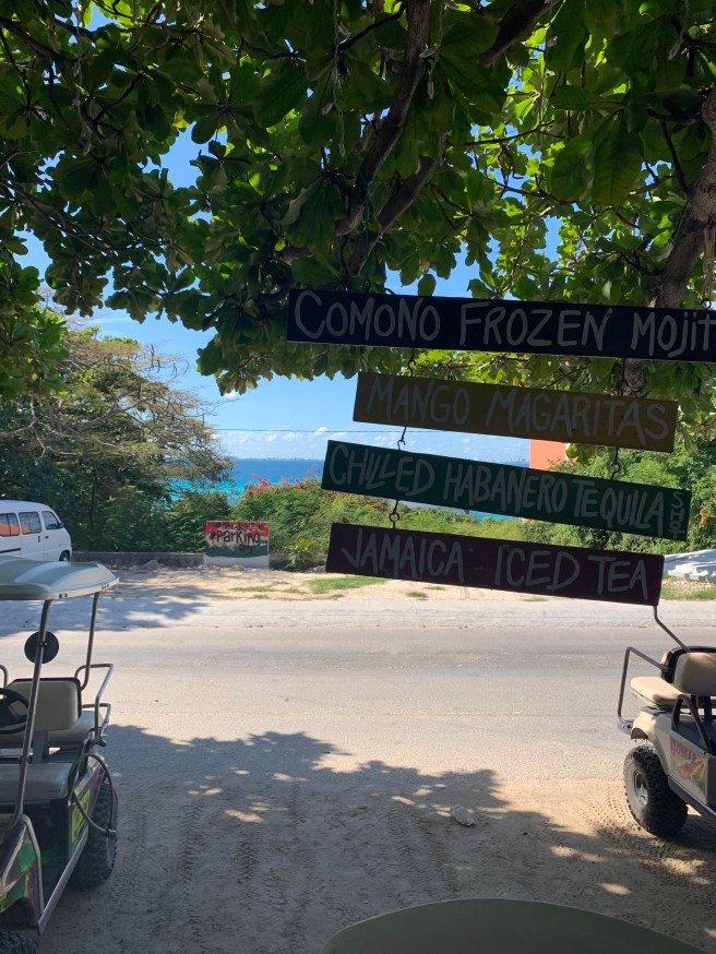 XyapH8z9RdKta7NoInK79A