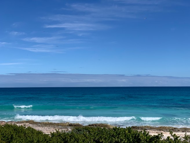 YZcu+p9ySGa1KALN+iaR4w