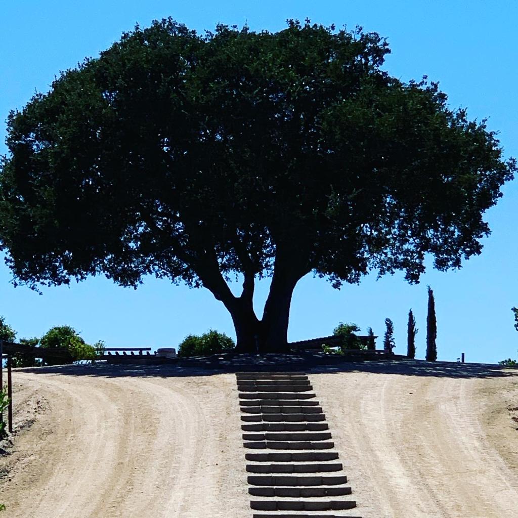 93c72f96-8ac3-4876-86b5-20e7ae226f54