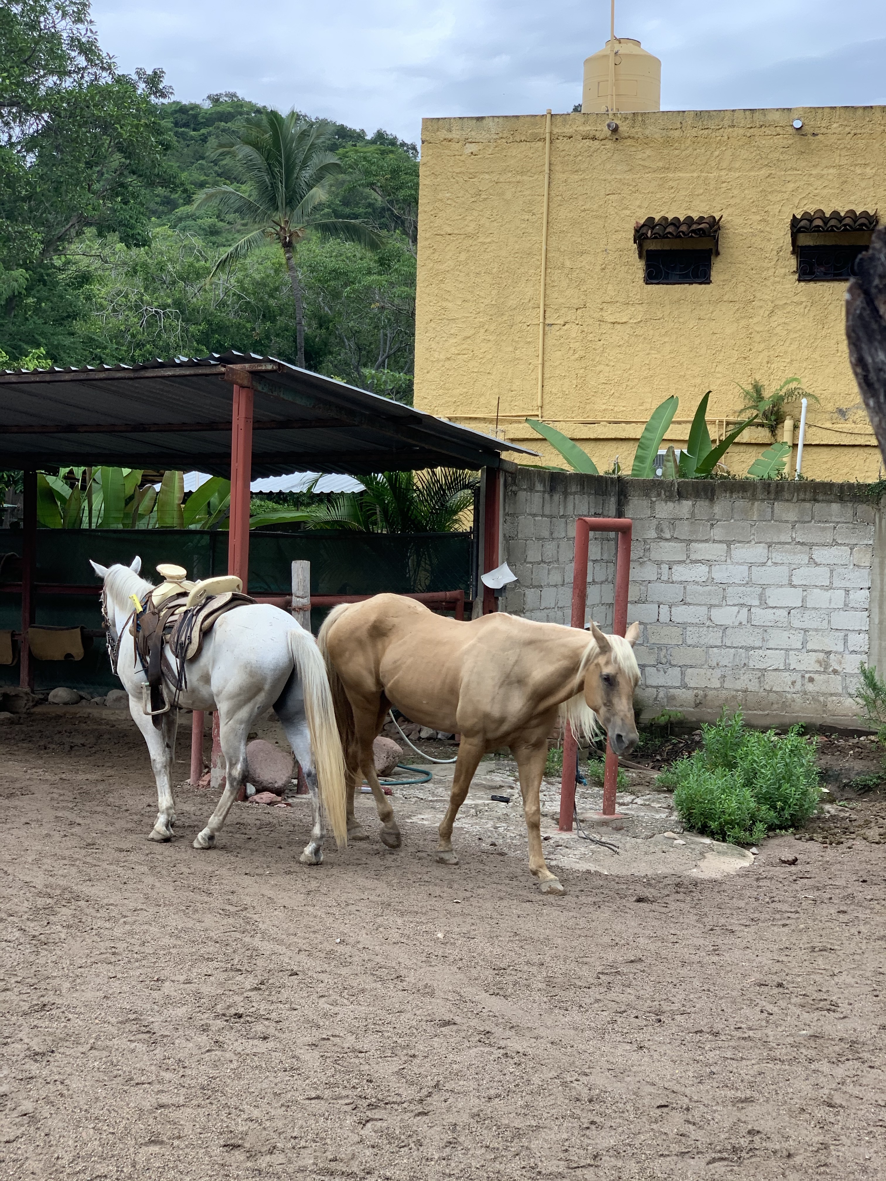 0ICC++D+SZOxctij4bPLZA